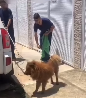 Homem viaja e abandona cachorro do lado de fora da residência em Maceió; polícia foi acionada