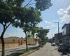 Prefeitura de Matriz de Camaragibe inicia poda de árvores na Avenida Manoel dos Santos