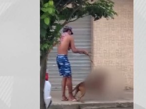Justiça aceita denúncia e suposto dono de cachorro que matou gato vira réu