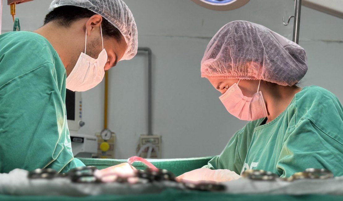 HGE inicia o fim de semana realizando captação de dois rins e um fígado para transplante