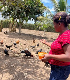 Há 13 anos, Emater atua dando assistência e desenvolvendo agricultura familiar em Alagoas