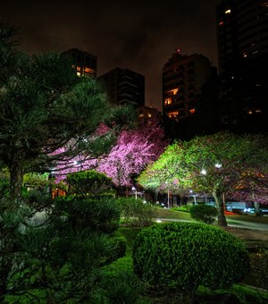 Viajar virtualmente para poder curtir Curitiba depois da quarentena