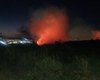 Incêndio atinge área de vegetação e assusta moradores em Arapiraca