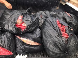 Vigilância Sanitária apreende 75 litros de saneantes e 420 kg de alimentos impróprios para consumo