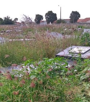 Cemitério municipal acumula mato e sujeira em Arapiraca