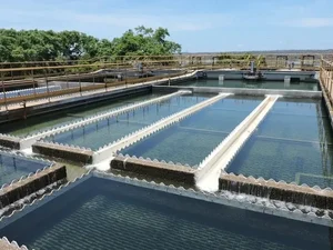 Qualidade de água bruta impacta abastecimento no município de Jacuípe