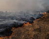 [Vídeo]  Apesar do aumento da temperatura, ação humana ainda é principal causa de incêndios em vegetação