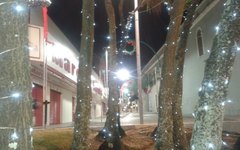 Decoração de Natal