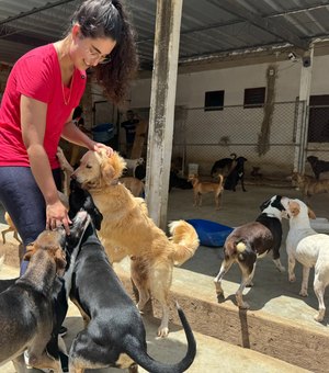 Maceió se destaca com lei que proíbe testes em animais para cosméticos e higiene pessoal
