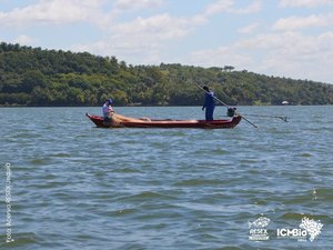 ICMBio recomenda suspensão do consumo e comércio de peixes na Lagoa do Jequiá