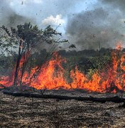 Temporada de incêndios florestais ameaça sistemas de saúde sobrecarregados por covid