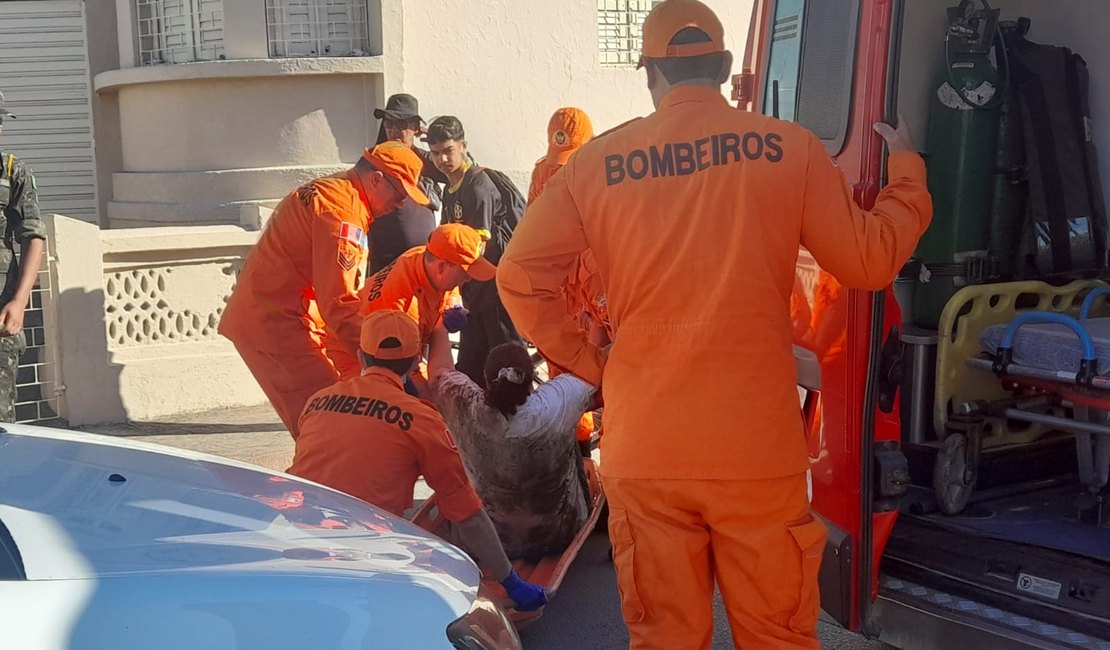 Mulher tenta salvar gato e fica ferida após cair em bueiro no Bairro Ribeira em Palmeira