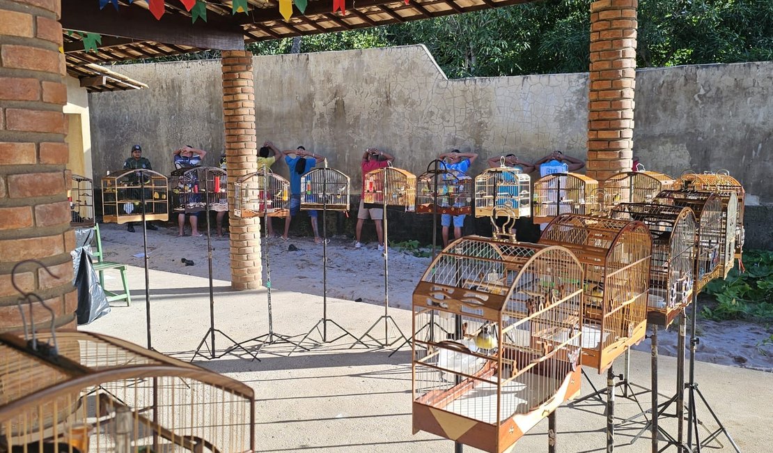 Mais de 40 aves silvestres são resgatadas Litoral Norte de Alagoas