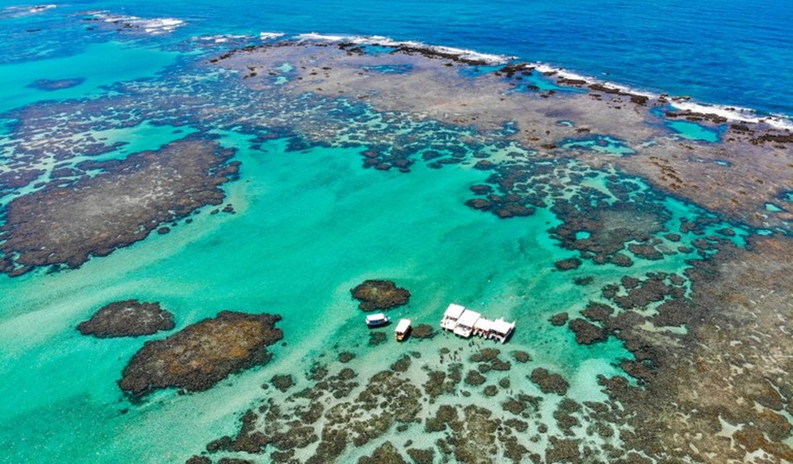 Justiça Federal atende pedido do MPF e suspende turismo na Lagoa Azul, em Maragogi