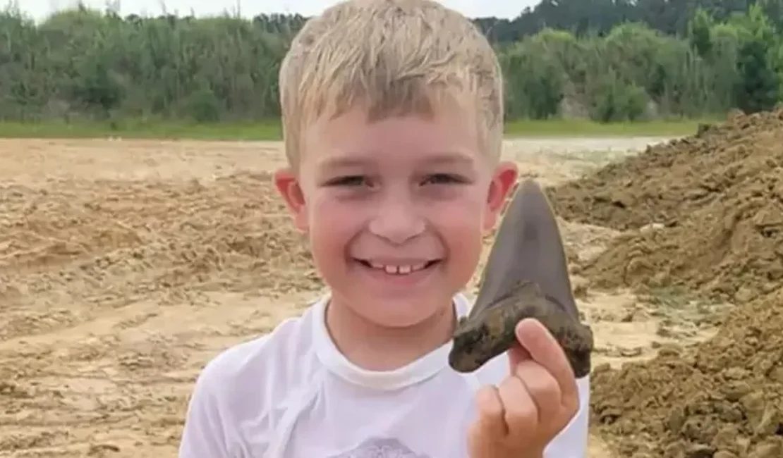 EUA: Menino de 8 anos acha dente de 12 cm de tubarão gigante pré-histórico