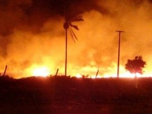 Incêndio atinge vegetação em União dos Palmares e moradores deixam residência