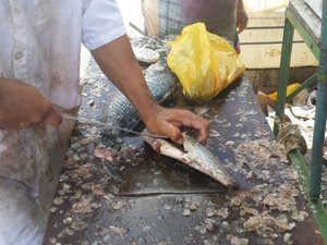 Ladrões roubam dinheiro de vendedoras de peixe em Arapiraca