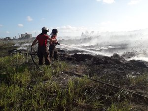 Incêndio de grandes proporções é registrado em Campus da Ufal