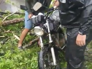 [Vídeo] Árvore cai por cima de motociclista em São José da Laje