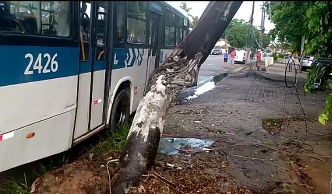 [Vídeo] Ônibus bate em poste e motorista é levado ao hospital