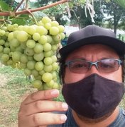 Alunos do Ifal cultivam uva em pleno sertão alagoano