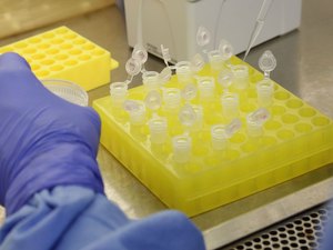Covid-19: Brasil tem 1,3 mil mortes e 23,4 mil casos confirmados