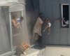Crianças são salvas por vizinho durante incêndio em prédio de Paris
