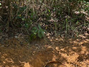 Corpo encontrado em cova rasa pode estar ligado a “tribunal do crime” no Litoral Norte de AL