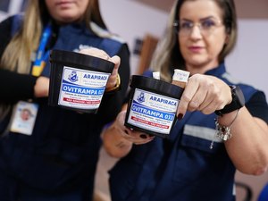 Arapiraca inicia implantação de armadilhas para combater mosquito da dengue