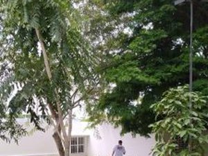 Edital oferece vagas para Projeto Criar Sesc em 2021