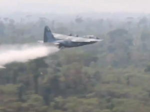 Governo investiga ‘Dia do Fogo’ no Pará, com suspeitas contra produtores e até ICMBio