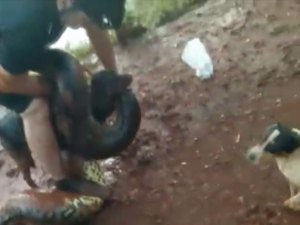 'Não pensei duas vezes', diz ciclista que pulou na água para salvar cão de sucuri