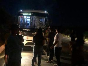 Ônibus com universitários de Porto Calvo colide com cavalo