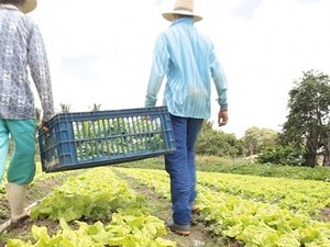 Sefaz e Seagri discutem simplificação da inscrição estadual de produtores