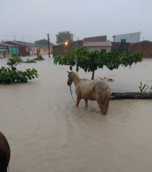 Enchentes: 836 pessoas ainda estão desabrigadas ou desalojadas em Alagoas