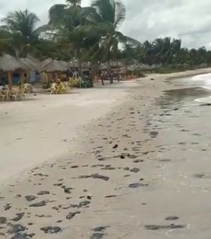 [Vídeo] Manchas de piche surgem em praia no município de Coruripe