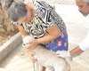 Campanha de Vacinação Antirrábica começa neste sábado (27) em Palmeira