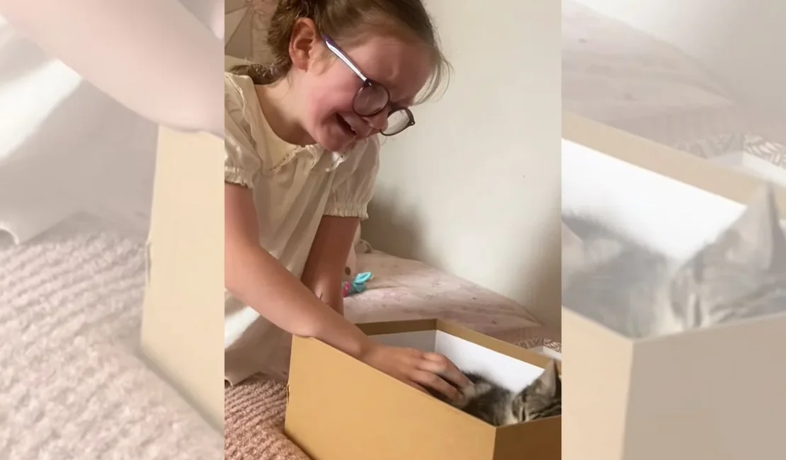 Menina tem reação surpreendente ao ganhar gatinha e vídeo emociona