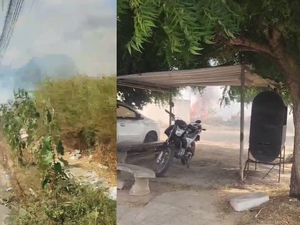 Três incêndios em vegetação são registrados em menos de três horas em Arapiraca