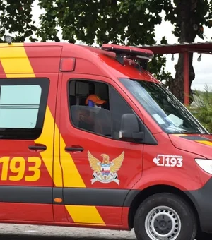 Jacaré é capturado após ser encontrado escondido embaixo de veículos em Arapiraca