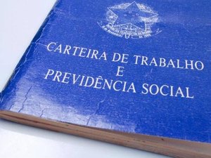 IBGE abre 1,4 mil vagas temporárias para o Censo Agropecuário 2016