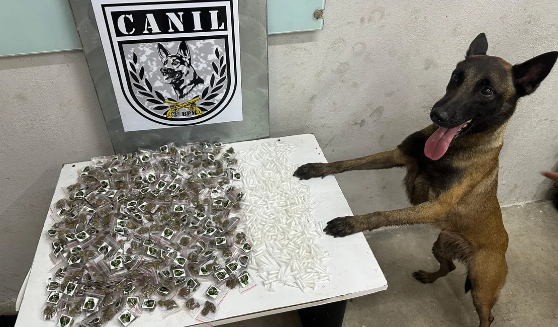 Cão farejador encontra drogas durante treinamento da PM em Arapiraca