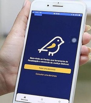 Propaganda eleitoral irregular: saiba como denunciar por meio do app Pardal