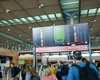 Ataque cibernético interrompe sistemas de check-in nos principais aeroportos europeus