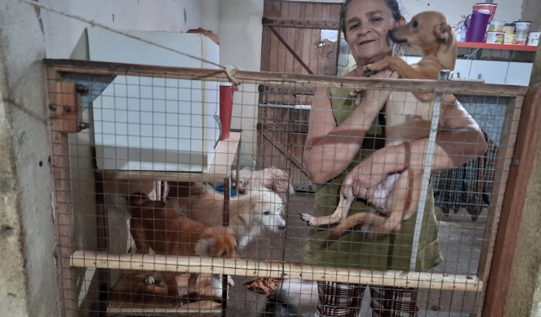 [Vídeo] Após ser curada de um câncer, dona de casa cumpre promessa de cuidar de animais de rua