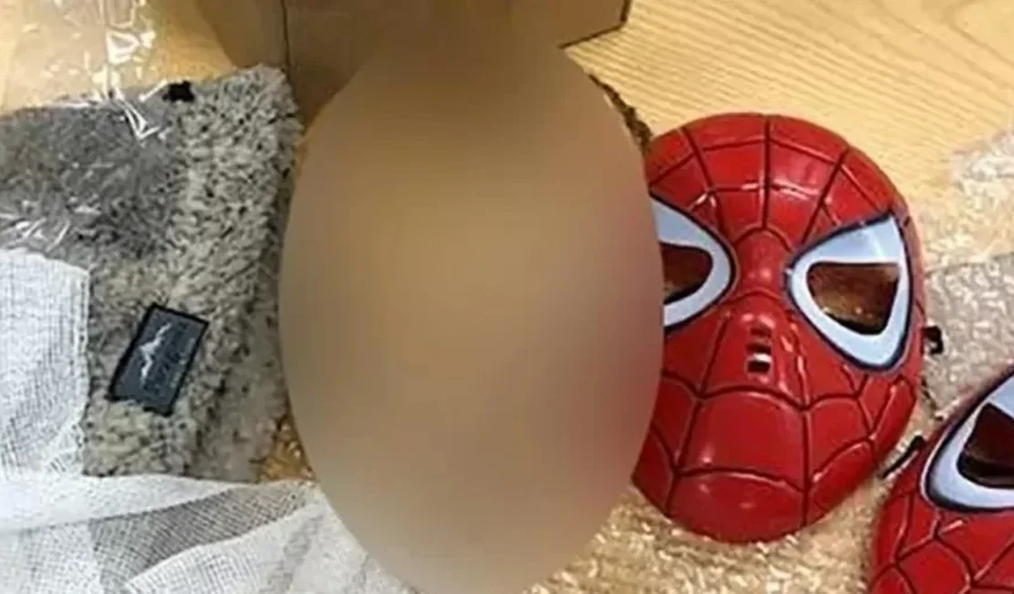 Cabeça decapitada é achada em máscara de homem-aranha enviada pelo correio