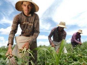 Plano Safra oferece R$ 170 milhões em crédito para Alagoas