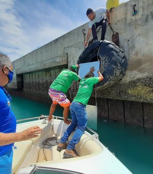 IMA instala placas de metal no Porto de Maceió para monitorar espécie de coral exótica