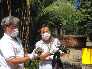 Em combate ao comércio ilegal, IMA elabora lista com principais espécies da fauna de AL