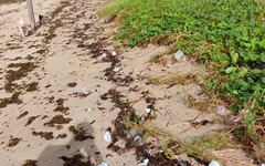 Praias amanheceram repletas de lixo em Porto de Pedras